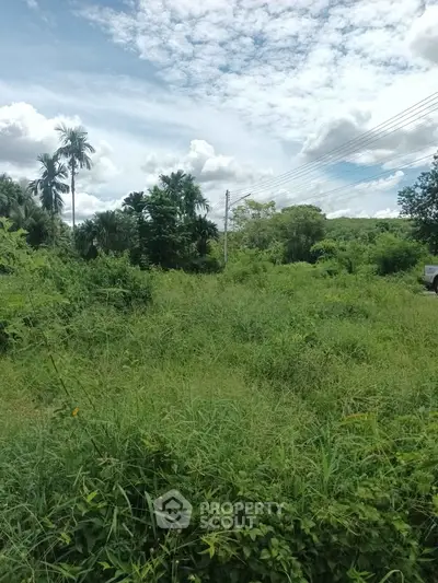 Lush green vacant land with tropical vegetation and clear blue sky, ideal for development.