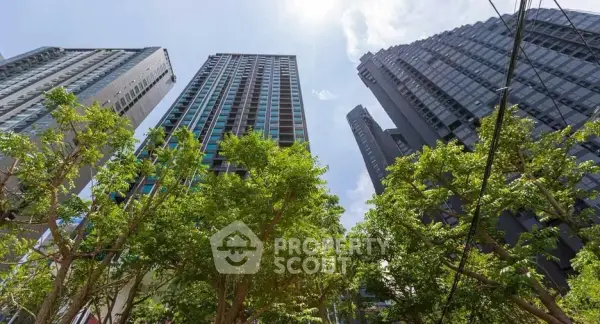 image_rental-30598908