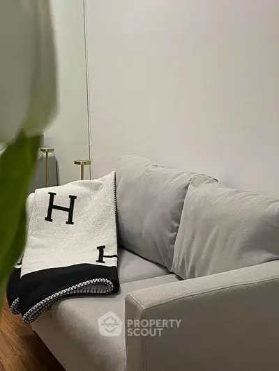 Elegant living room with cozy gray sofa and stylish throw blanket