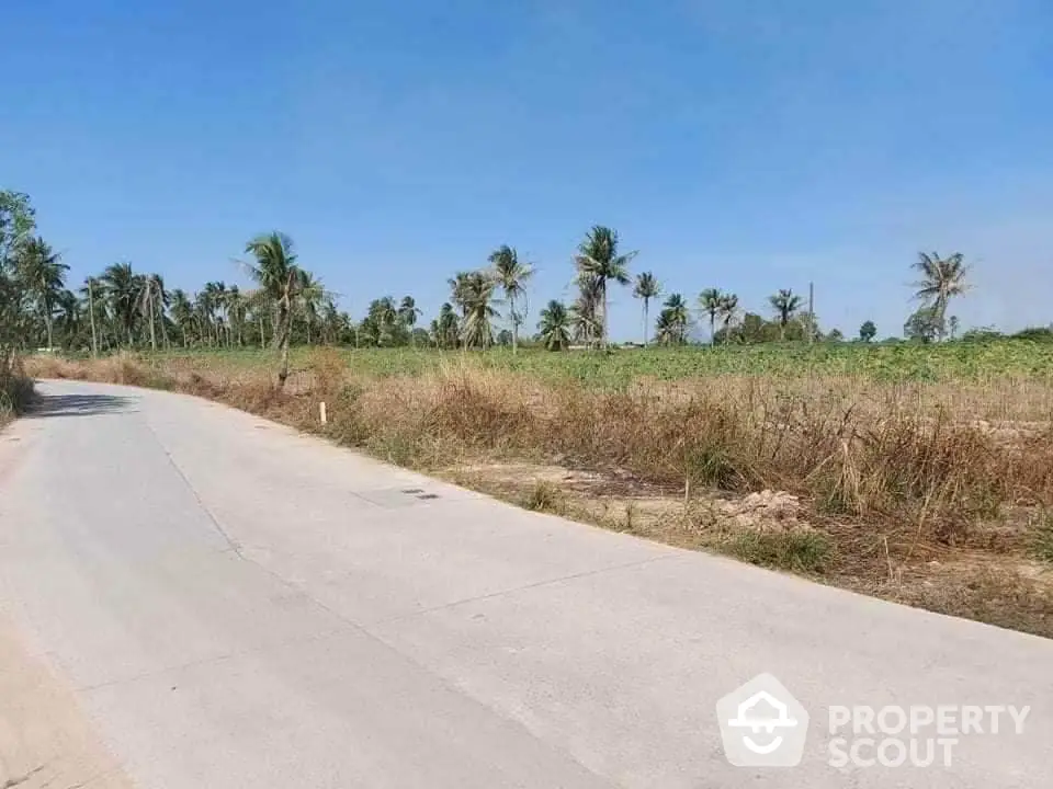 Expansive undeveloped land with lush palm trees lining the horizon, adjacent to a paved road under a clear blue sky, ideal for a bespoke real estate development.