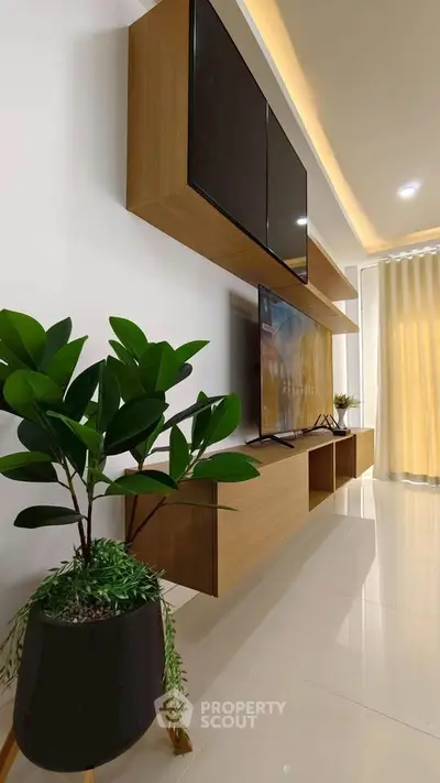 Modern living room with sleek wooden TV unit and indoor plant