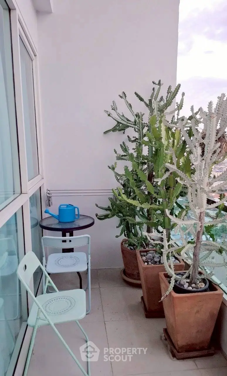 Charming balcony with potted cacti and seating, perfect for relaxation.