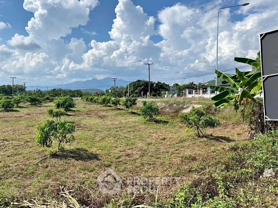 Expansive land plot with lush greenery and mountain views, perfect for development or agriculture.
