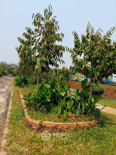Beautifully landscaped garden with lush greenery and trees in a serene outdoor setting.