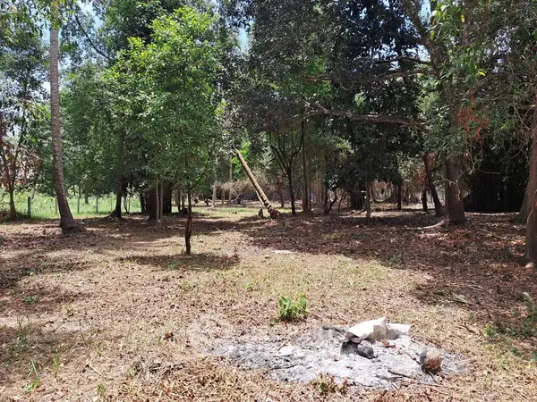 image_rental-11883948