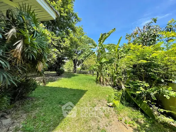 image_rental-24894298