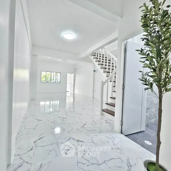 image_rental-31605362