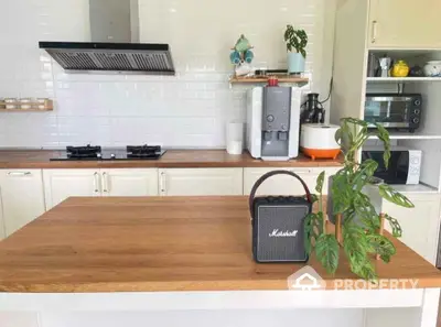 Modern kitchen with wooden countertops and gas stove, featuring stylish appliances and greenery.