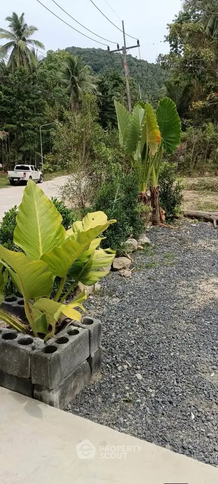 Scenic garden view with lush greenery and mountain backdrop