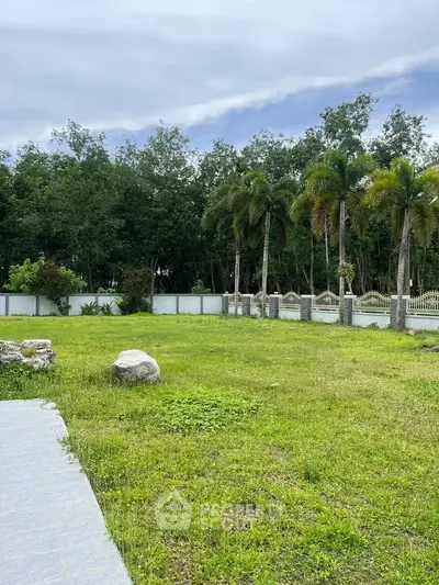 Spacious green garden with palm trees and stone accents, perfect for outdoor relaxation and activities.