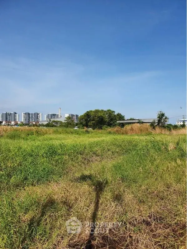 image_rental-14038903