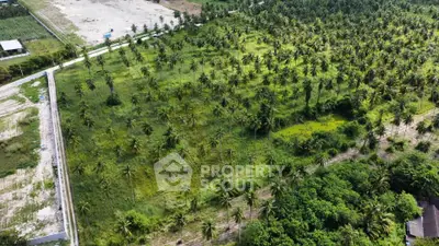Expansive lush green land with palm trees, ideal for development or investment opportunities.