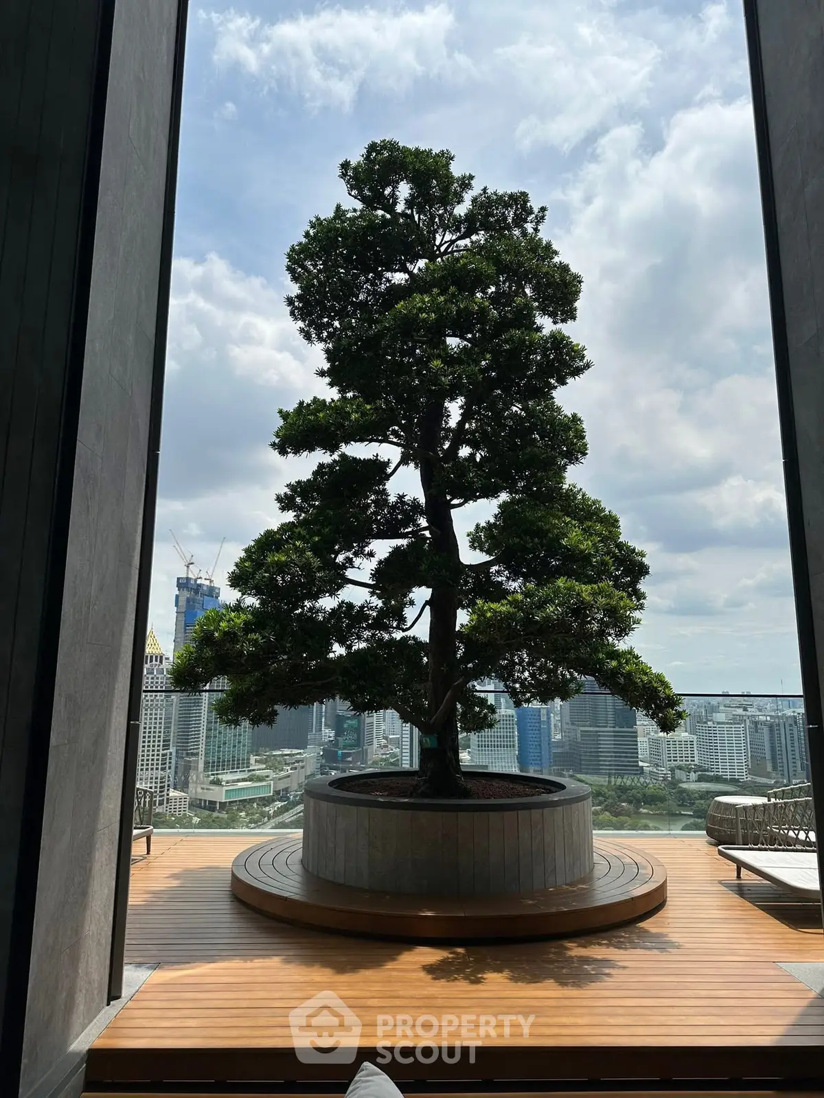 Stunning rooftop view with a central tree and cityscape backdrop.