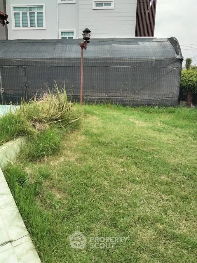 Spacious backyard with lush green lawn and modern building exterior.