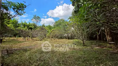 image_rental-26875818