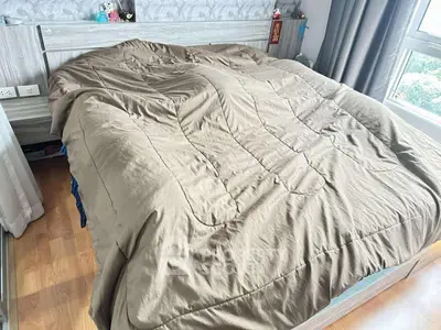 image_rental-31003639