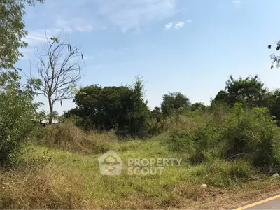 Expansive plot of land with lush greenery and clear blue sky, ideal for development opportunities.