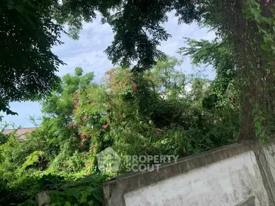 image_rental-30865184