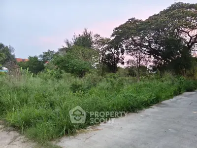 Spacious land plot with lush greenery, perfect for development or investment opportunities.