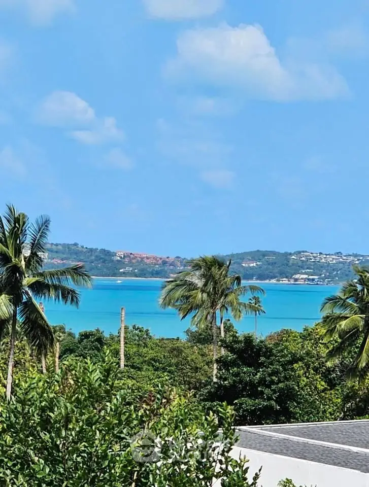 Stunning tropical view with palm trees and turquoise sea from a luxury property.