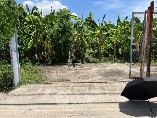 image_rental-27502753