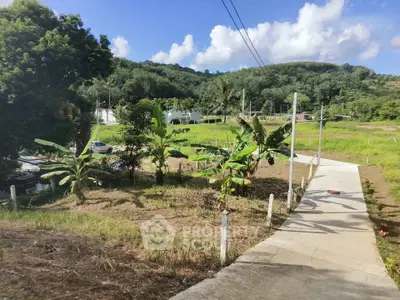 Scenic view of lush green landscape with pathway and distant hills, perfect for serene living.