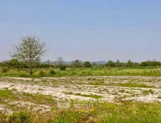 image_rental-17673132