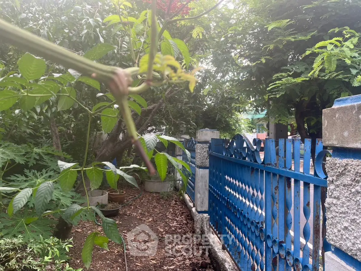 Charming garden view with lush greenery and blue decorative fence, perfect for nature lovers.