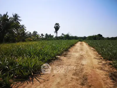 Expansive agricultural land with lush greenery and clear blue sky, ideal for farming opportunities.
