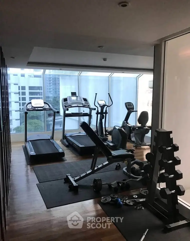 Modern gym with city view featuring treadmills, elliptical, and weights in a sleek fitness center.