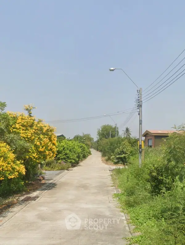 image_rental-21525704