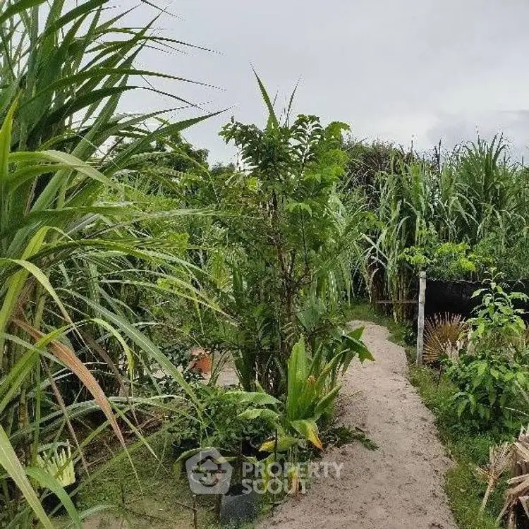 Lush garden pathway surrounded by vibrant greenery and tropical plants.