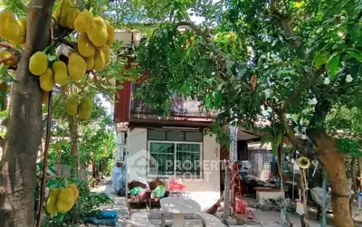 image_rental-31525816