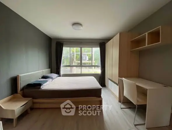 image_rental-28934639