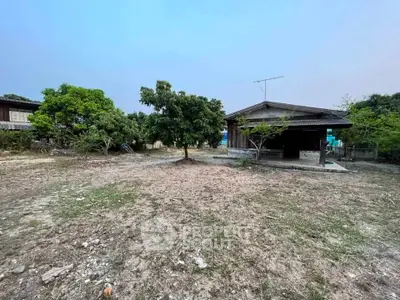 image_rental-31499376