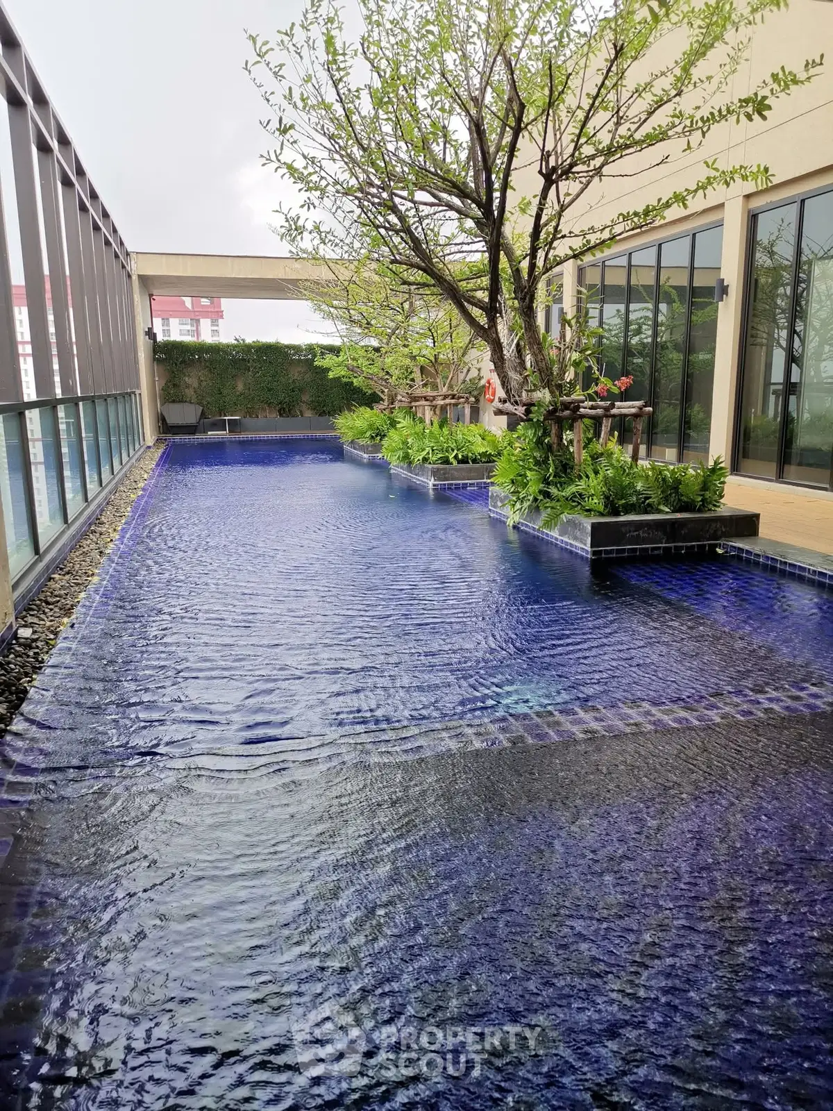 Luxurious rooftop pool with lush greenery and modern design