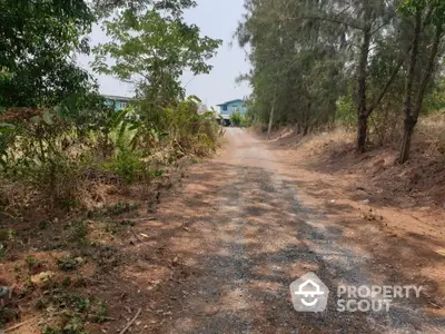 Scenic gravel driveway leading to a countryside property surrounded by lush greenery.