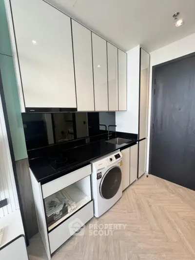 Modern kitchen with sleek cabinets and built-in washing machine