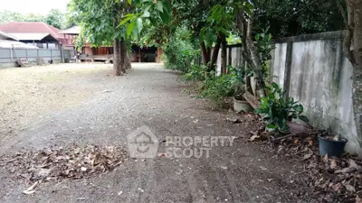 Spacious outdoor area with trees and pathway, ideal for garden enthusiasts.