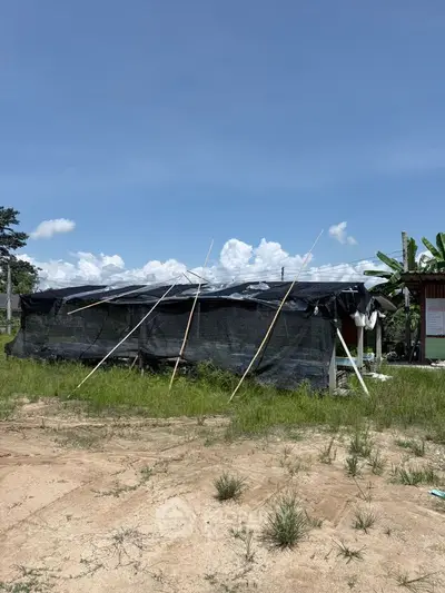 Rural property with makeshift structure on open land under clear blue sky.