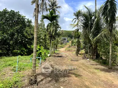Scenic rural landscape with lush greenery and palm trees, ideal for tranquil living.