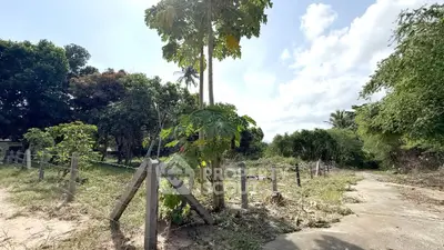Spacious land plot with lush greenery and clear skies, ideal for development opportunities.