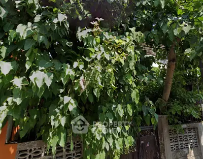 Screenshot 2025-12-10 150802-Photoroom.png