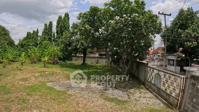 Spacious residential land with lush greenery and boundary wall, ideal for development.