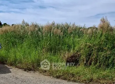 Screenshot 2025-12-19 211331.png