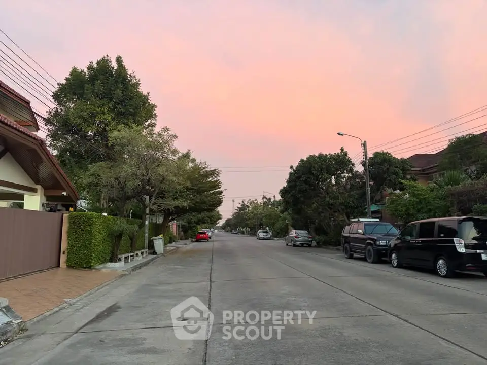 Charming suburban street view at sunset with lush greenery and parked cars.
