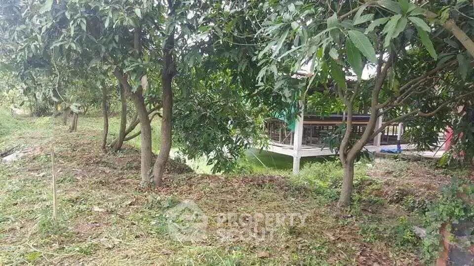 Charming garden view with lush greenery and a cozy outdoor deck, perfect for relaxation and nature lovers.