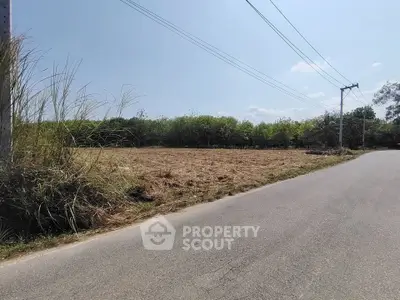 Spacious land plot with road access and lush greenery, perfect for development or investment opportunities.