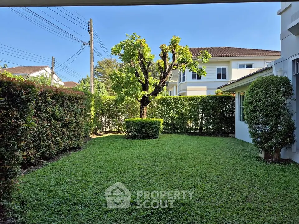 Charming garden view with lush greenery and trimmed hedges in a suburban backyard.