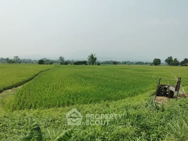 image_rental-17150874